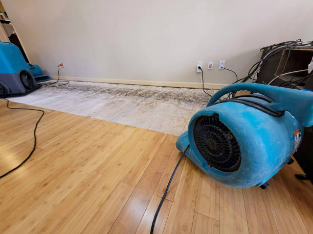 Professional Water Removal technician working in Wittmann, AZ